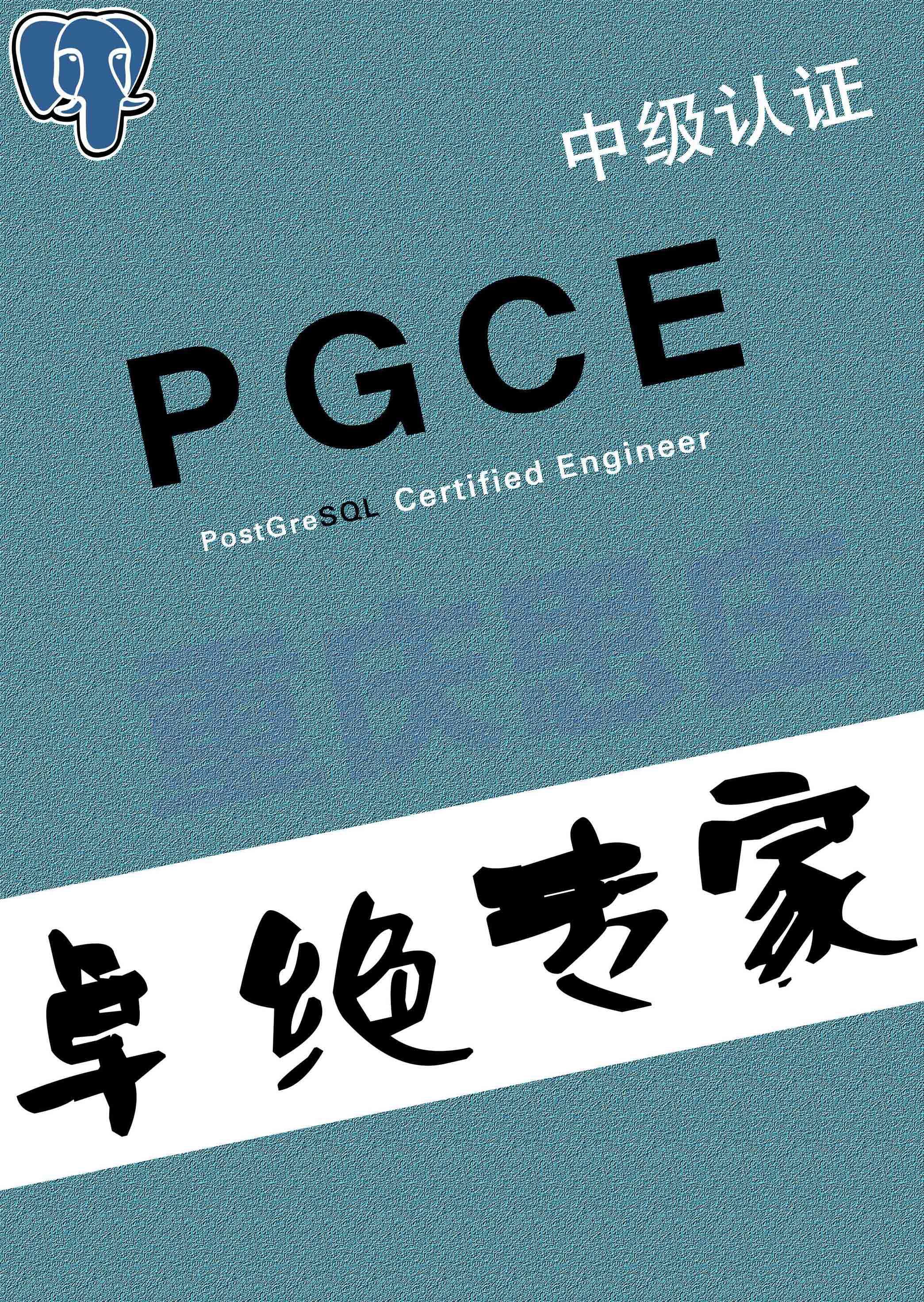 pgce专家.jpg